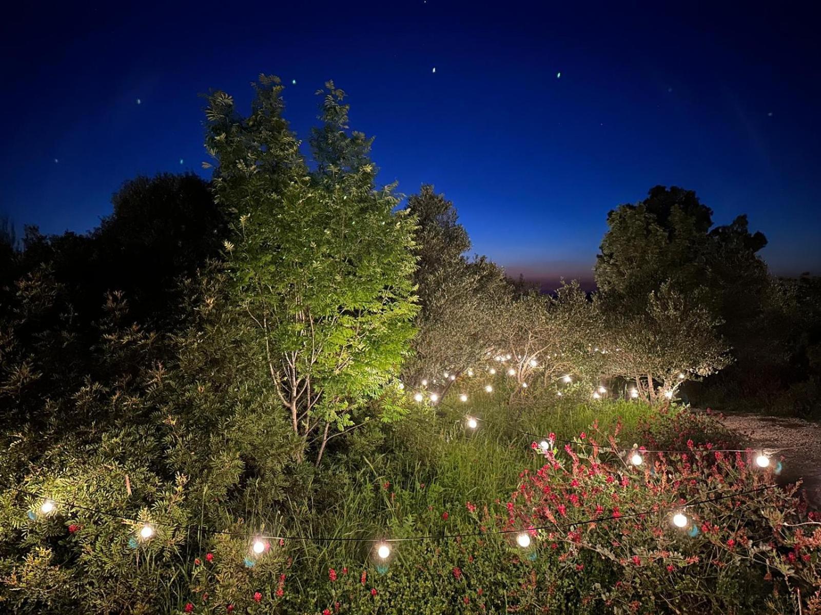 Glamping San Bart Hotel San Vincenzo Exterior photo