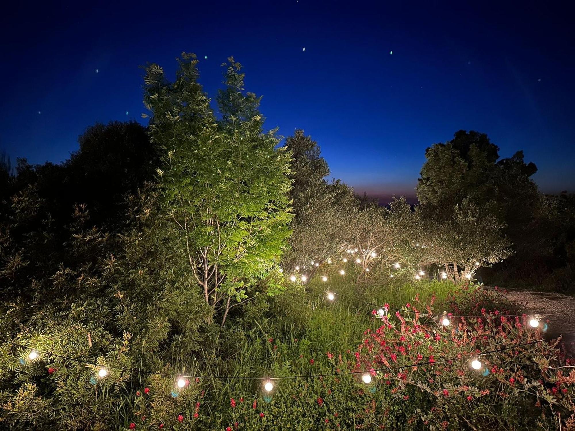 Glamping San Bart Hotel San Vincenzo Exterior photo